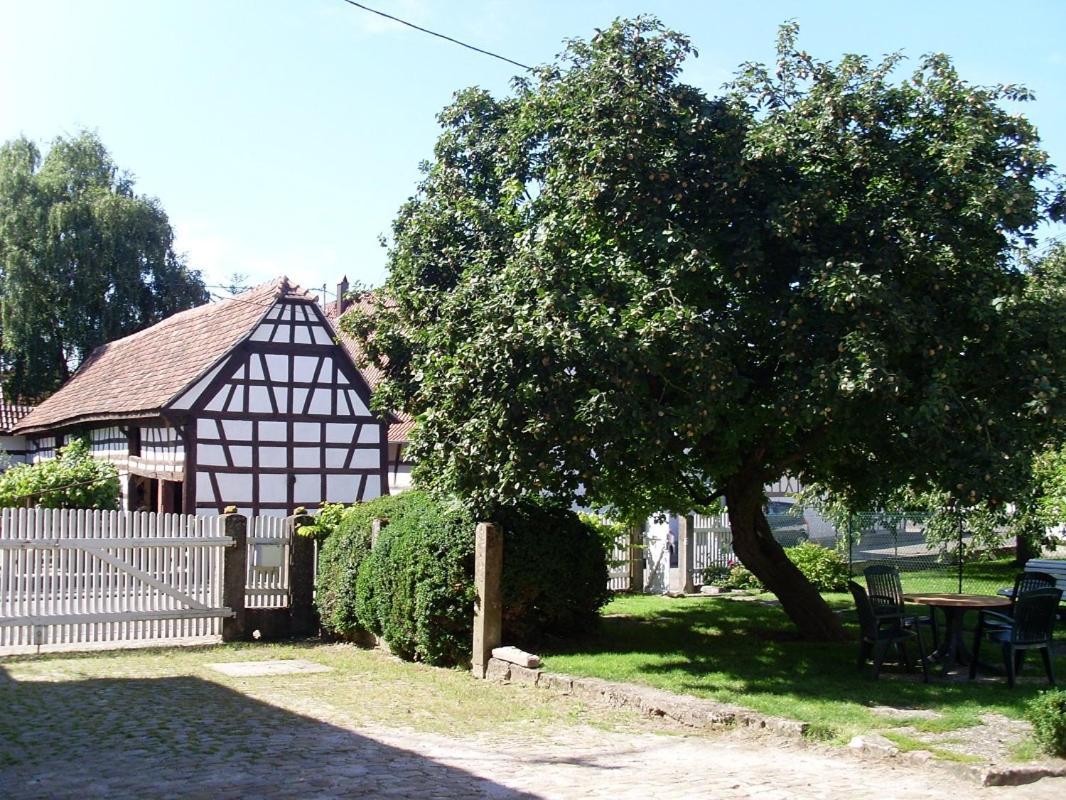 Gites Et Chambres D'Hotes Maison Ungerer Hunspach Exterior foto