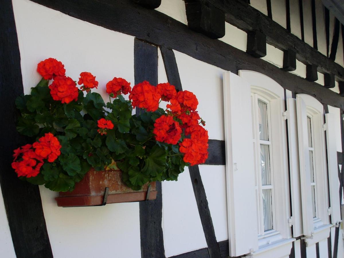 Gites Et Chambres D'Hotes Maison Ungerer Hunspach Exterior foto