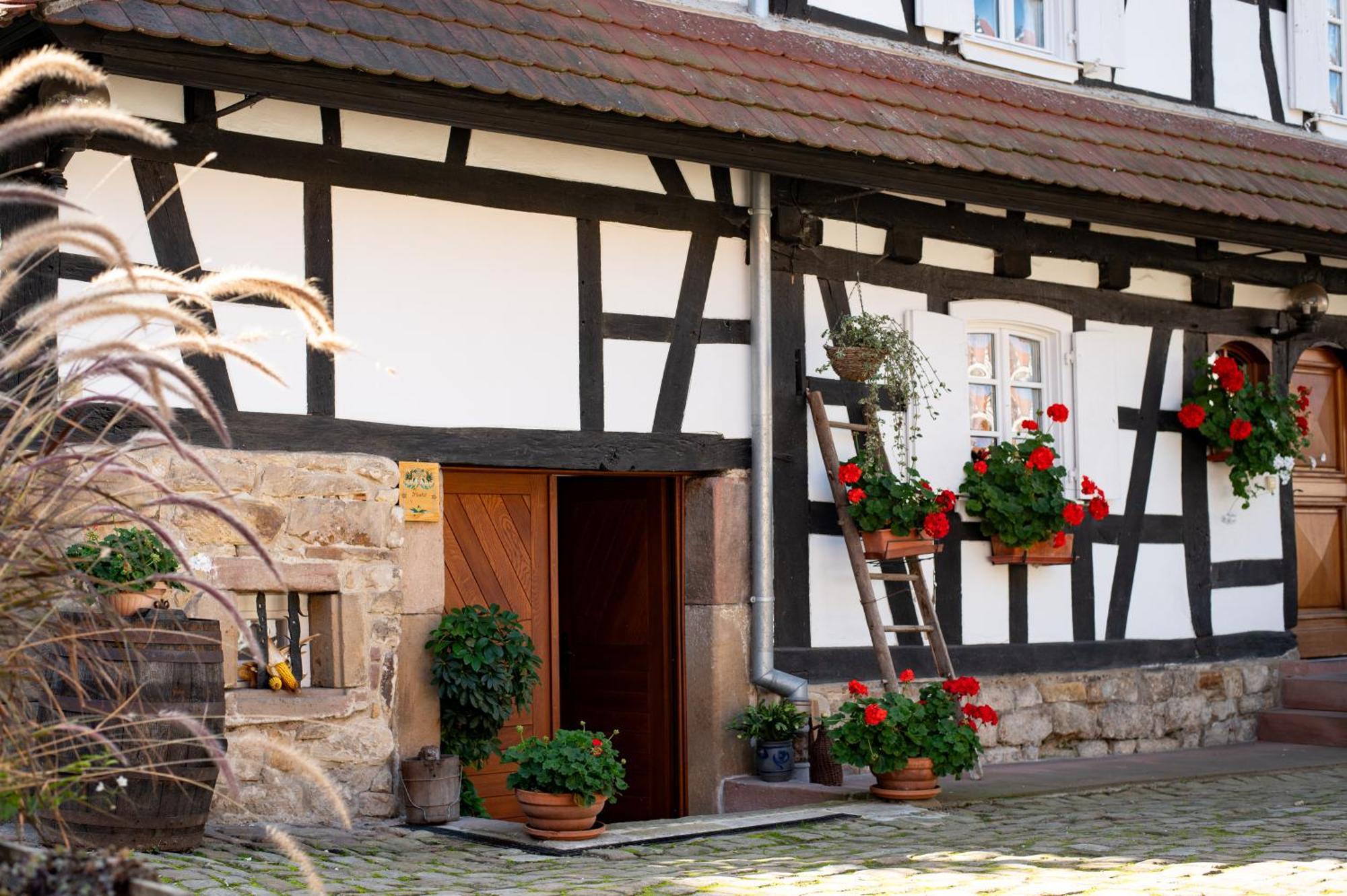 Gites Et Chambres D'Hotes Maison Ungerer Hunspach Exterior foto