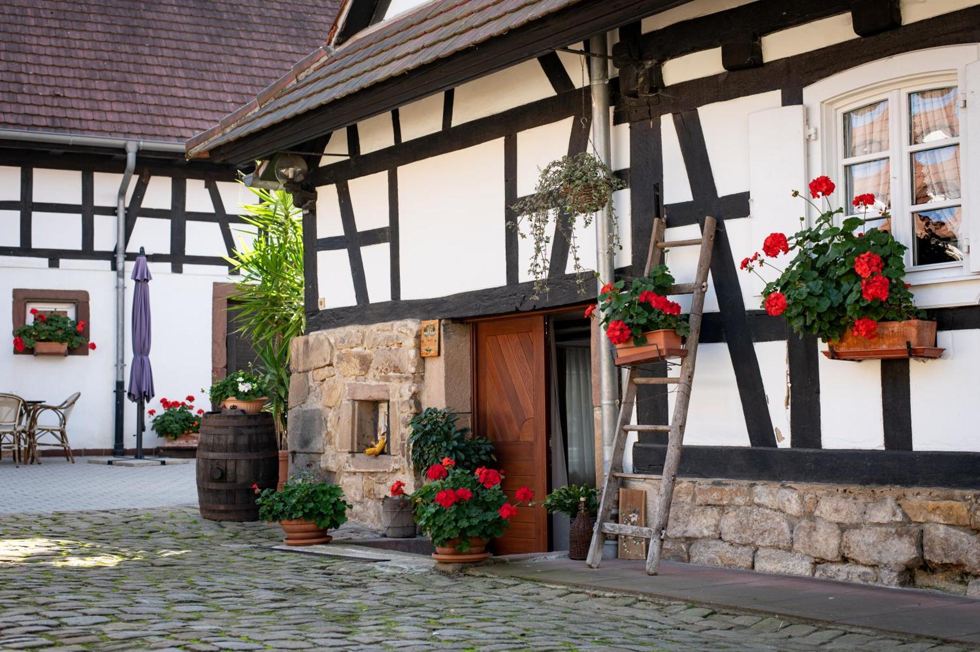 Gites Et Chambres D'Hotes Maison Ungerer Hunspach Exterior foto